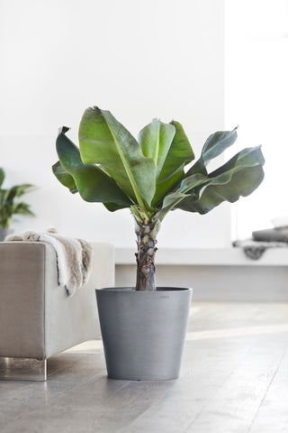 Hvorfor velge Ecopots?