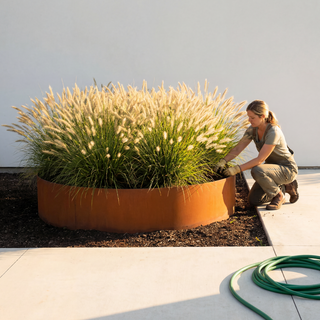 Plantering
