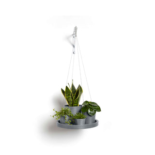 Hanging Saucers