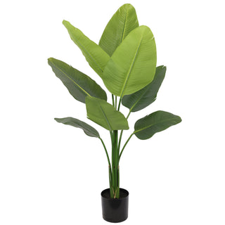 Ute palmer og tropiske planter