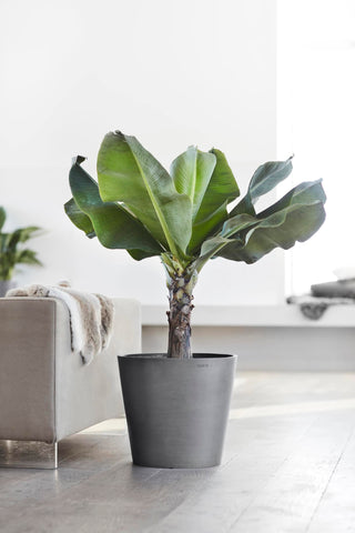 5411942740940_92-Amsterdam-40-Grey