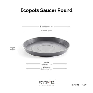 5411942741954_80-Saucer-Round-50-Grey