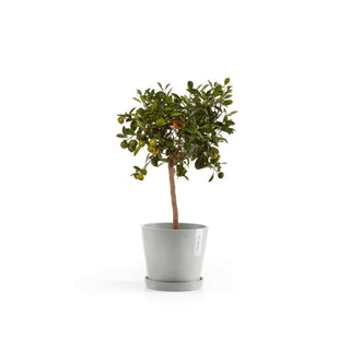 5413724301271_14-Amsterdam-20-White-Grey