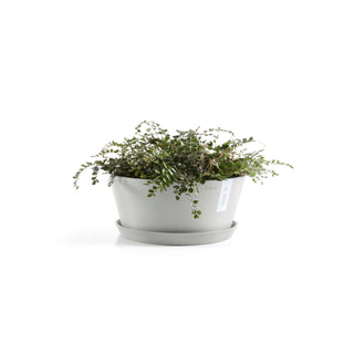 5413724301769_12-Frankfurt-50-White-Grey
