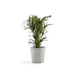 5413724303367_02-Amsterdam-60-White-Grey