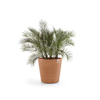 5413724307495_01-Amsterdam-Wheels-60-Terra-Cotta