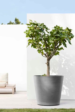 5413724310570_91-Amsterdam-Wheels-80-Grey