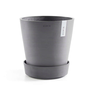 5413724313649_01-Saucer-Wheels-50-Grey