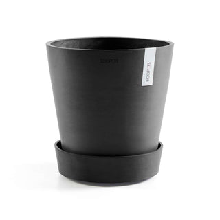5413724313656_01-Saucer-Wheels-50-Dark-Grey