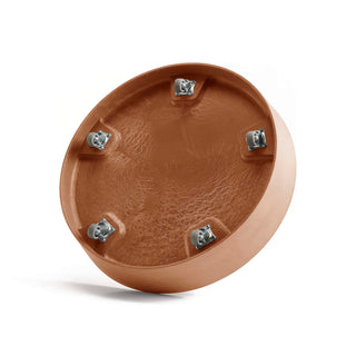 5413724313663_30-Saucer-Wheels-50-Terra