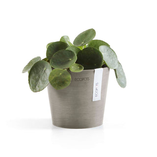 5413724315001_03-Amsterdam-13-Taupe