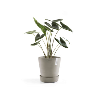 5413724315056_02-Saucer-Wheels-40-Taupe