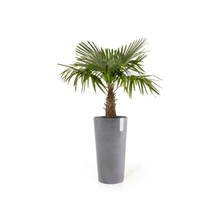 5413724316336_02-Amsterdam-High-76-Grey