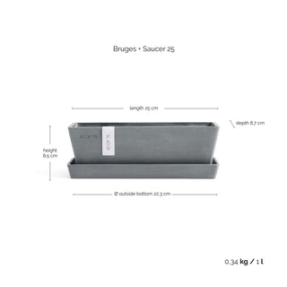 Bruges + Saucer 25 B