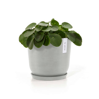 5413724316916_11-Oslo-25-White-Grey