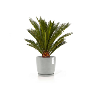 5413724316916_13-Oslo-25-White-Grey