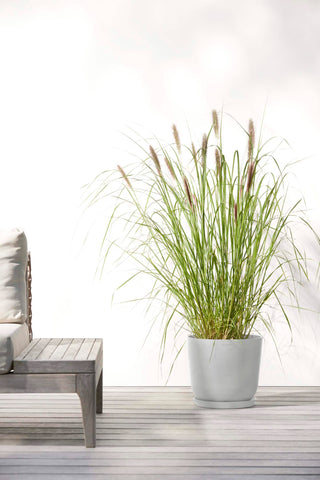 5413724316916_91-Oslo-25-White-Grey