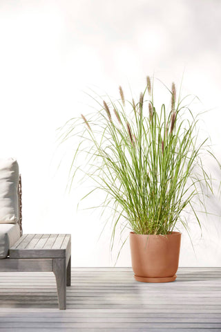 5413724316954_91-Oslo-25-Terra