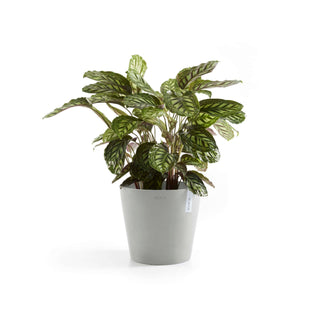 5413724317814_03-Amsterdam-30-Water-Reservoir-White-Grey