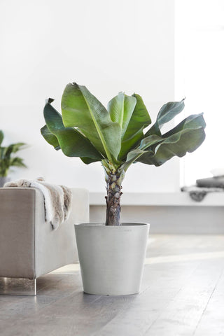 5413724317876_92-Amsterdam-40-Water-Reservoir-White-Grey