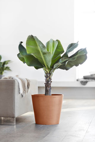 5413724317913_92-Amsterdam-40-Water-Reservoir-Terra