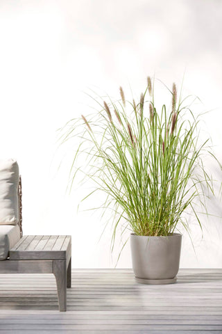 5413724318088_91-Oslo-25-Water-Reservoir-Taupe