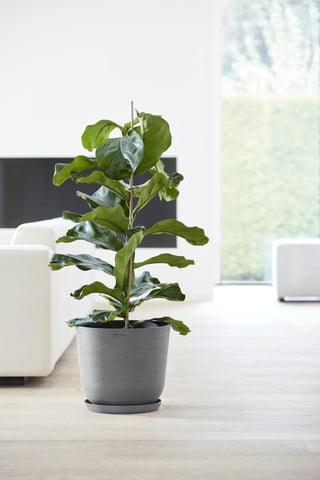 5413724318125_93-Oslo-35-Water-Reservoir-Grey