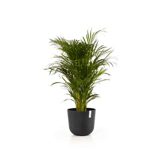 5413724318132_02-Oslo-35-Water-Reservoir-Dark-Grey