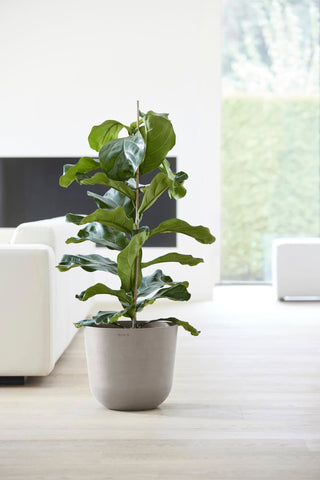 5413724318149_92-Oslo-35-Water-Reservoir-Taupe