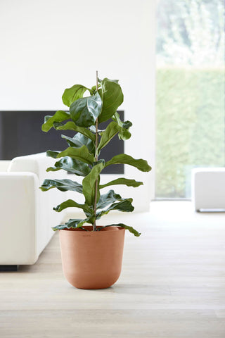 5413724318156_92-Oslo-35-Water-Reservoir-Terra