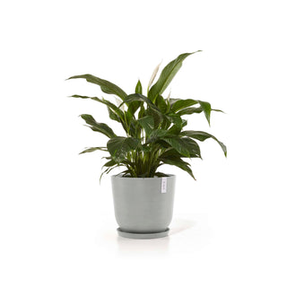 5413724318170_11-Oslo-45-Water-Reservoir-White-Grey