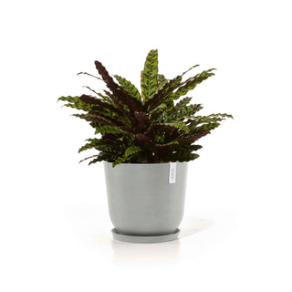 5413724318170_12-Oslo-45-Water-Reservoir-White-Grey