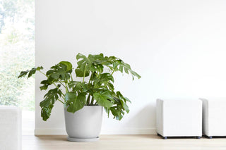 5413724318170_93-Oslo-45-Water-Reservoir-White-Grey