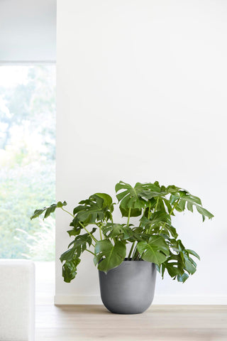 5413724318187_94-Oslo-45-Water-Reservoir-Grey