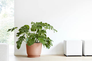 5413724318217_93-Oslo-45-Water-Reservoir-Terra