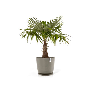 5413724318262_11-Oslo-55-Water-Reservoir-Taupe