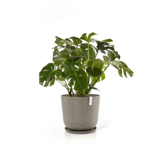 5413724318262_12-Oslo-55-Water-Reservoir-Taupe