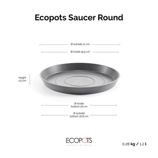 5413724320180_80-Saucer-Round-25-Grey