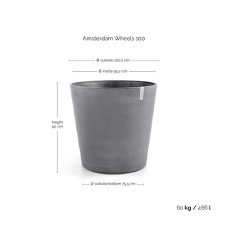 Amsterdam Wheels 100 G