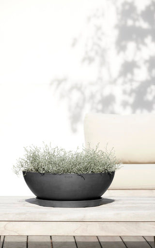 5413724325659_91-Vienna-50-Dark-Grey