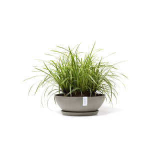 5413724325673_11-Vienna-50-Taupe