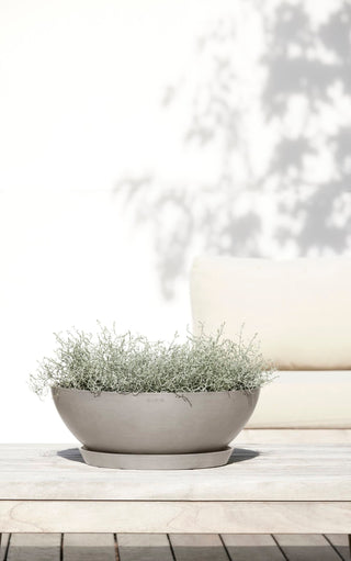 5413724325673_91-Vienna-50-Taupe