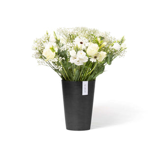 5413724325888_01-Pisa-17.5-Dark-Grey