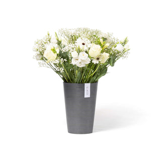 5413724325901_01-Pisa-14-Grey