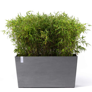 5413724326199_01-Paris-Wheels-100-Grey