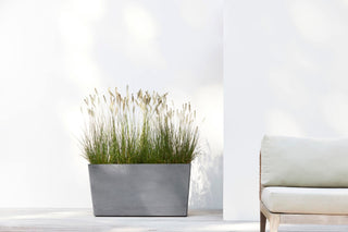 5413724326199_90-Paris-Wheels-100-Grey