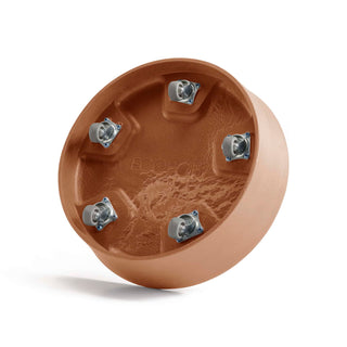 5413724326519_30-Saucer-Wheels-30-Terra