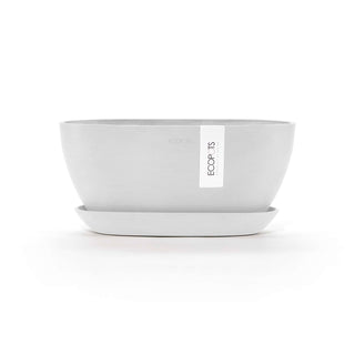 5413724326663_00-Sofia-30-Saucer-Pure-White