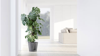 5413724329473_90-Venice-2-30-Grey