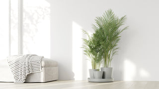 5413724329626_90-Dubai-White-Grey